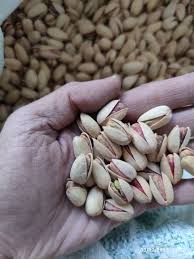 تصویر 3 از خرید و قیمت پسته اکبری درجه یک + فروش عمده